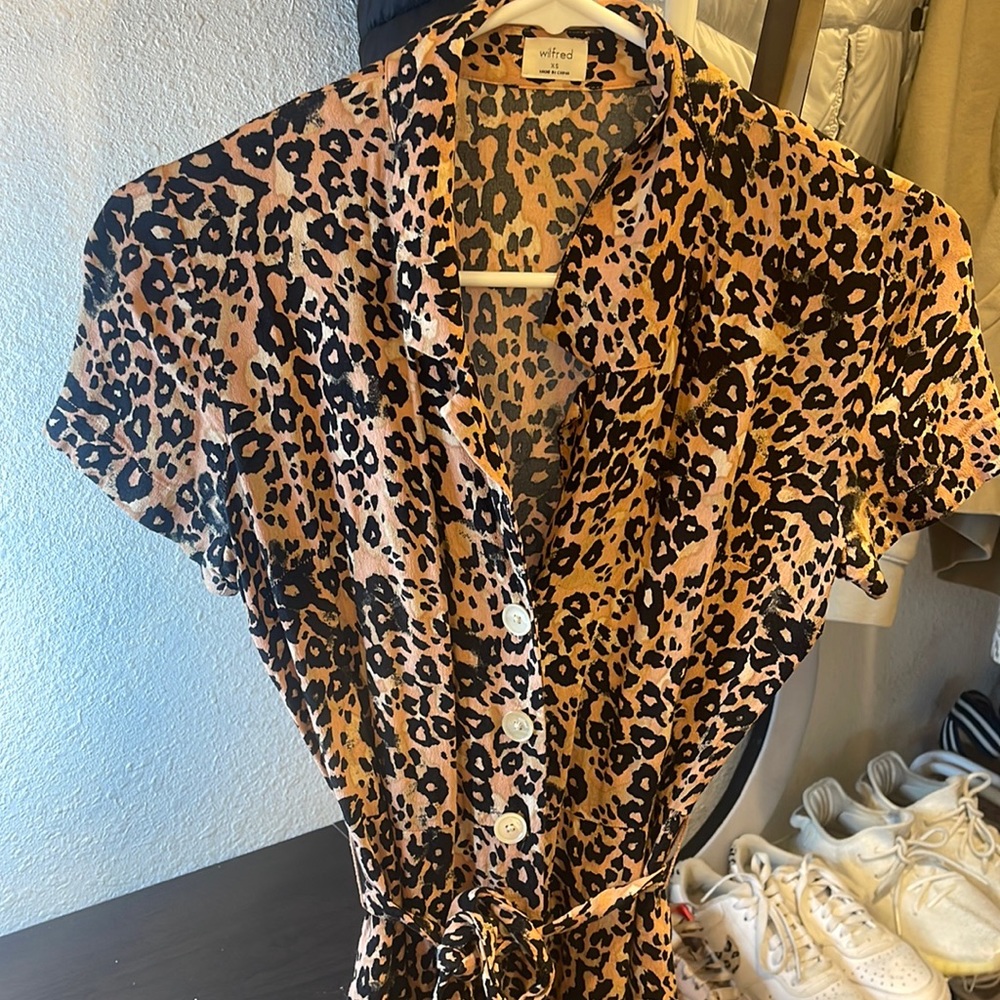 Aritzia Dress
